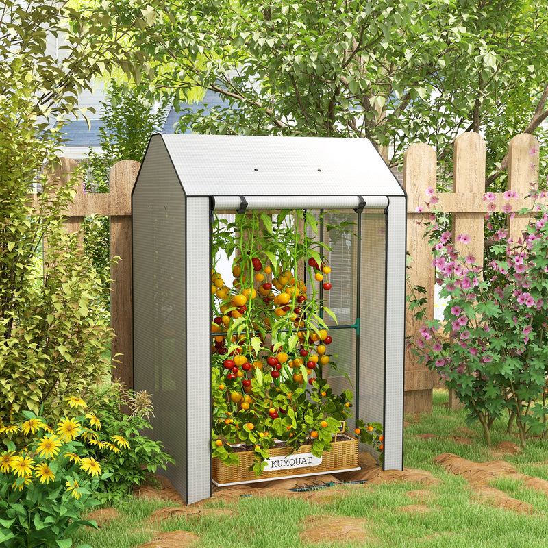 Mini Greenhouse with 4 Wire Shelves Portable Garden Grow House Upgraded Tomato Greenhouse for Plants with Roll Up Door and Vents, 100 x 80 x 150cm, White