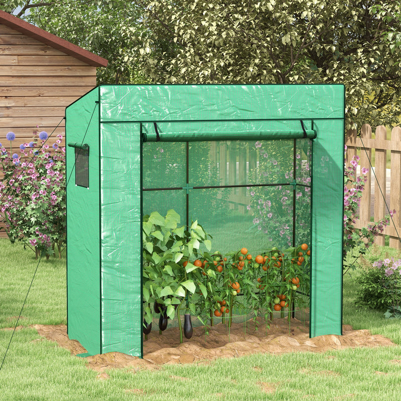 PE Cover Walk-in Outdoor Greenhouse, Green